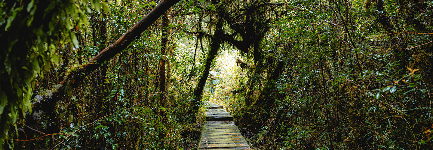 Patrimonio natural del país