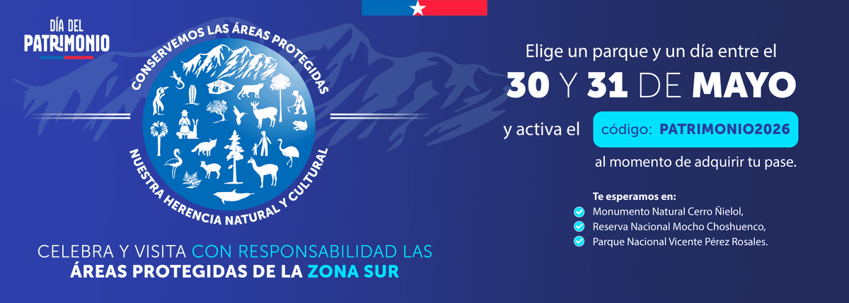 Día del Patrimonio 2026 - Zona Sur
