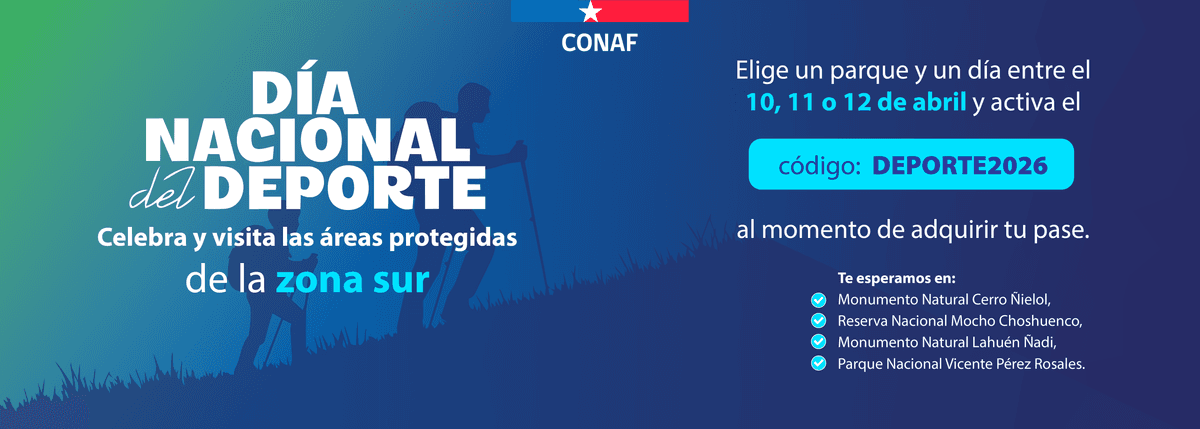 Parque Nacional Vicente Pérez Rosales