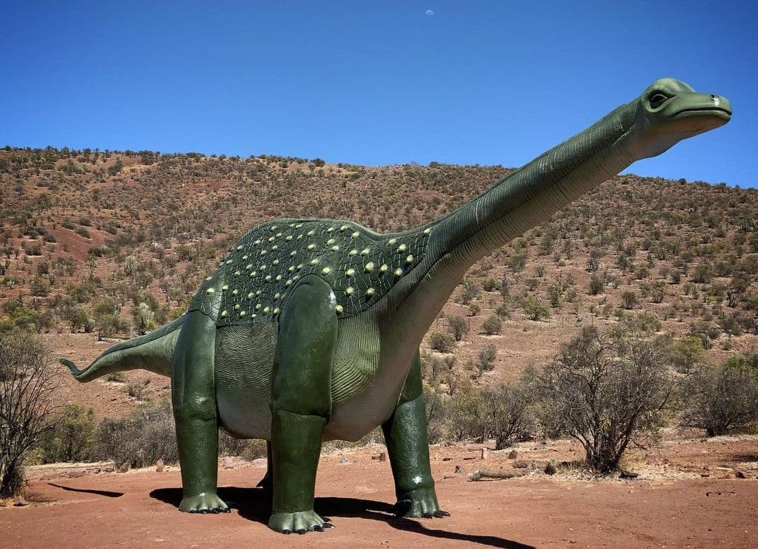 Pichasca - 1