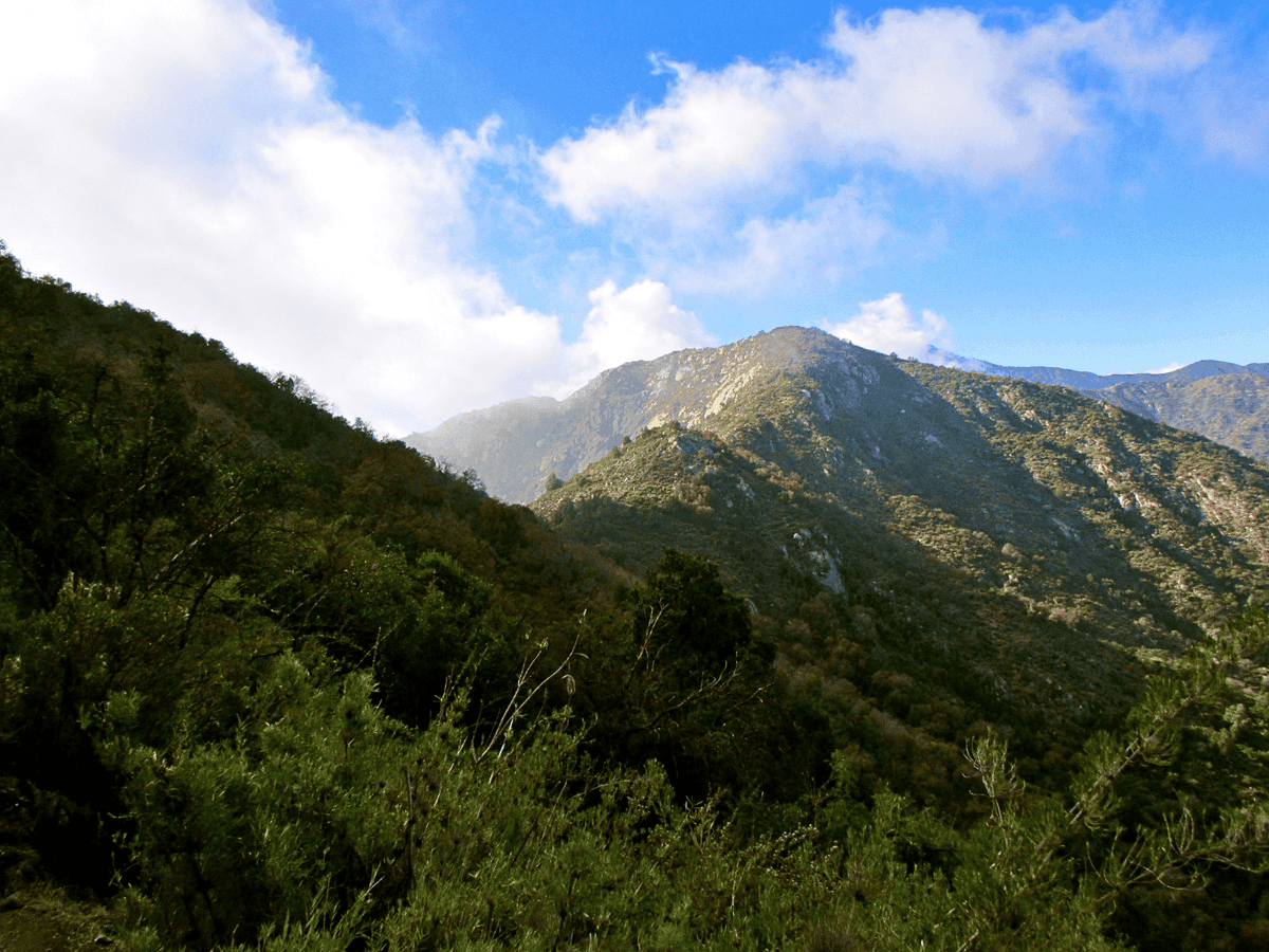 La Campana - Sector Palmas de Ocoa - 2