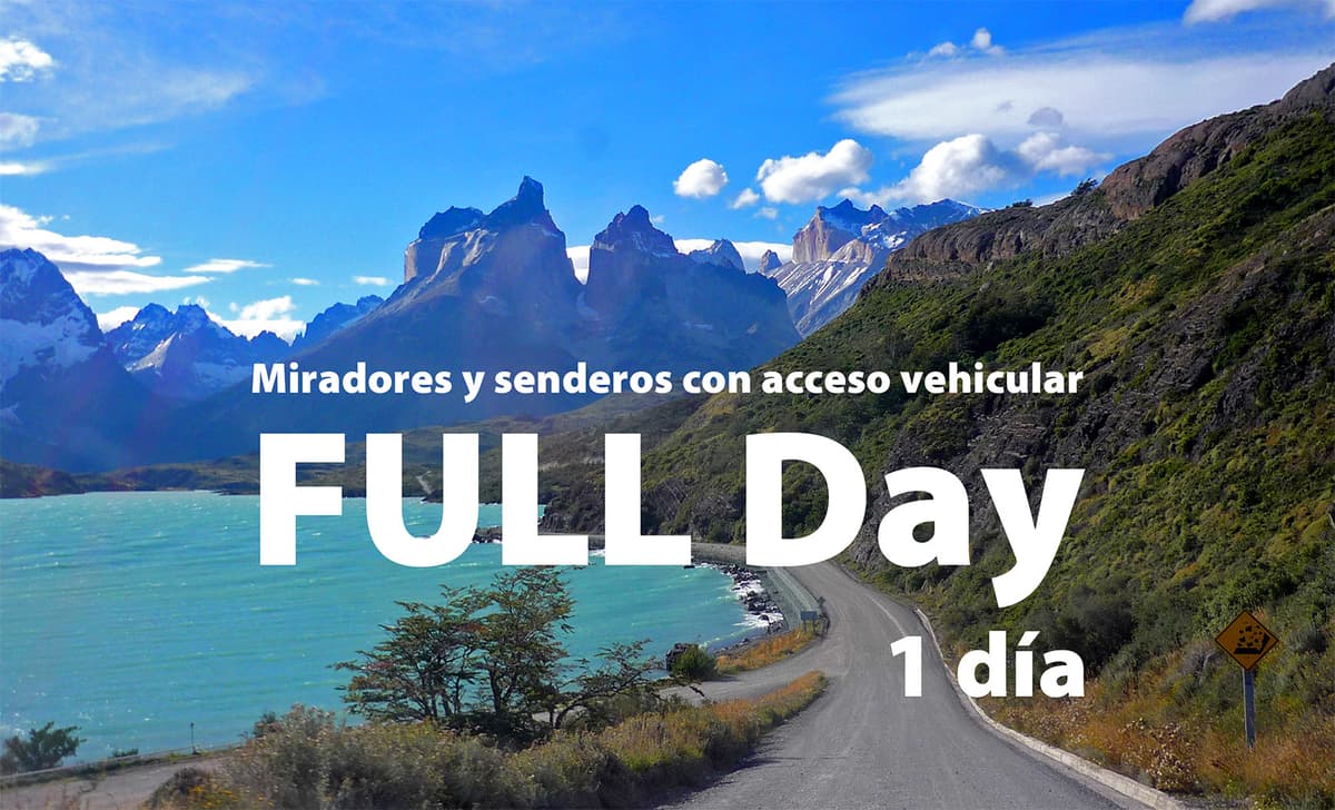 Torres del Paine - Full Day (Camino Vehicular)