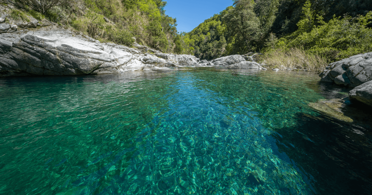 Huemules de Niblinto