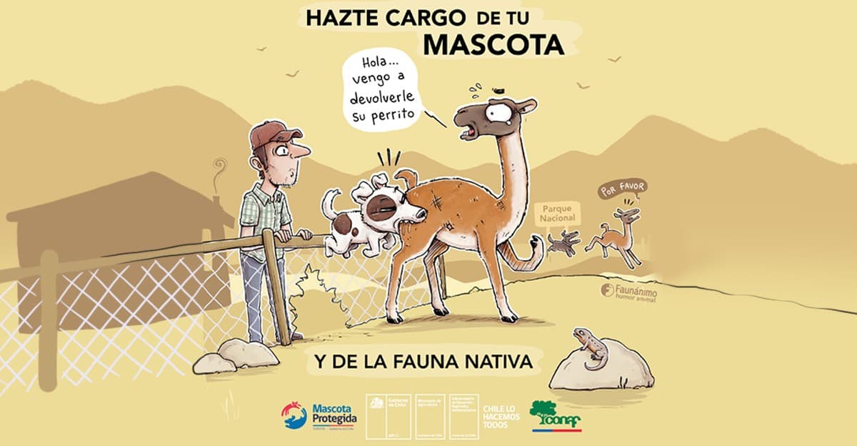 Mascotas en Áreas Protegidas