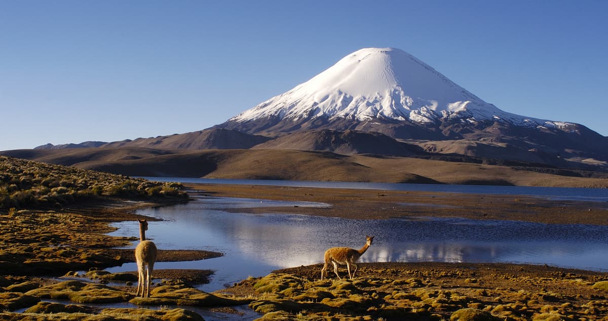 Reservas de Biosfera: Naturaleza y Comunidad
