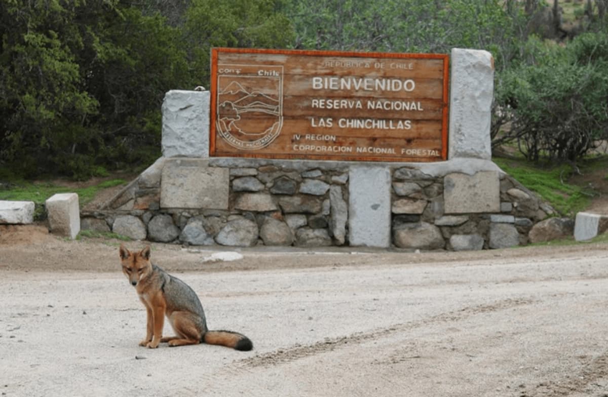 Entrada Reserva Nacional Las Chinchillas