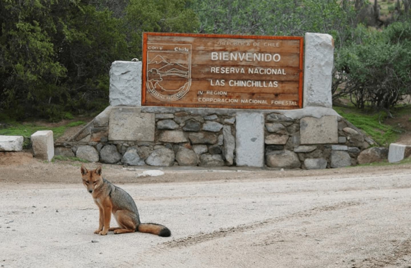 Reserva Nacional Las Chinchillas