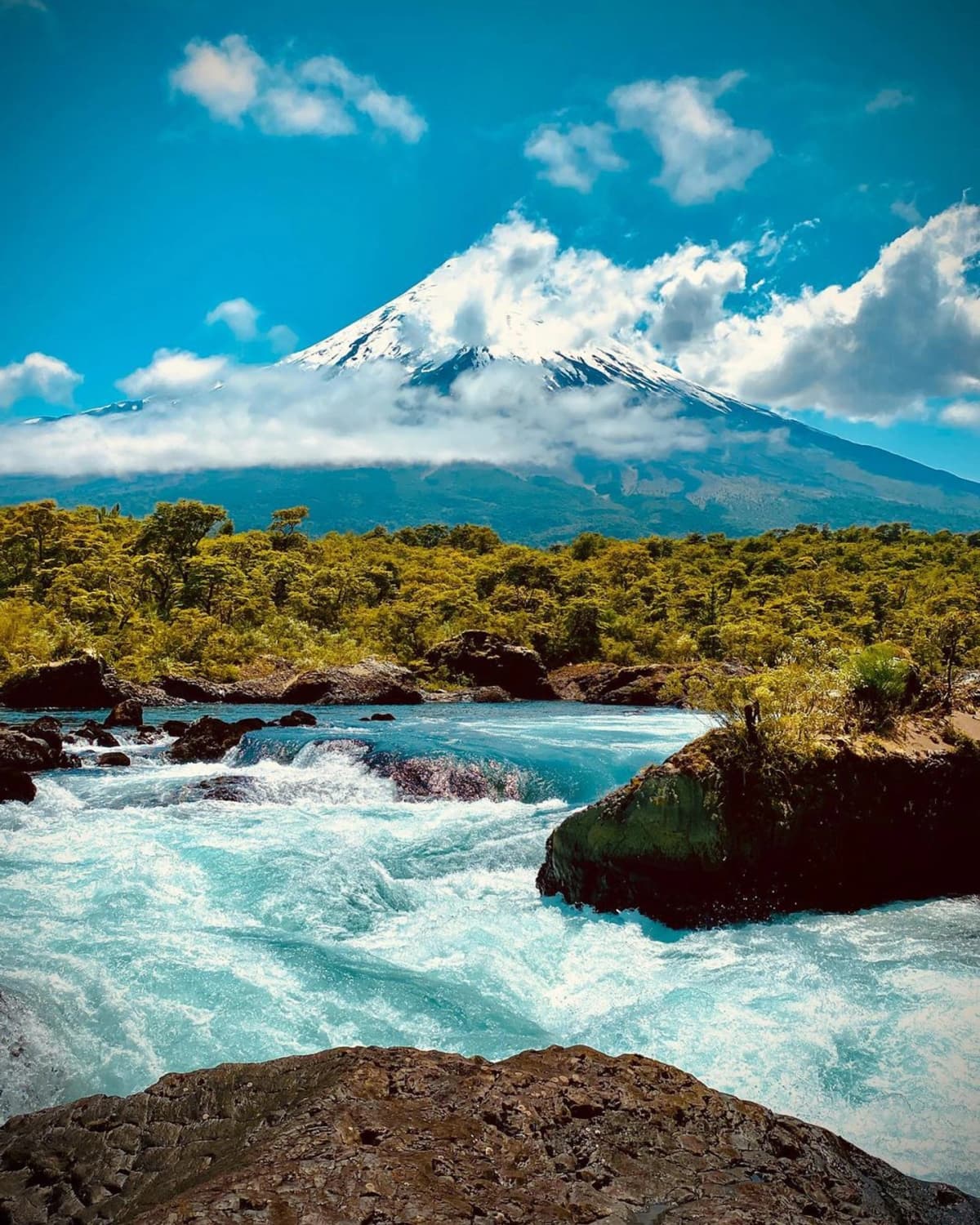 Entrada al Parque Nacional Vicente Perez Rosales