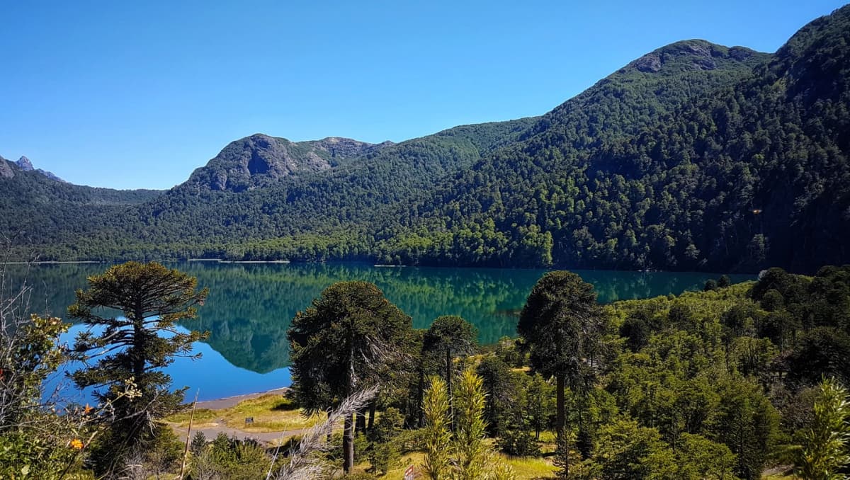 Parque Nacional Villarica Norte