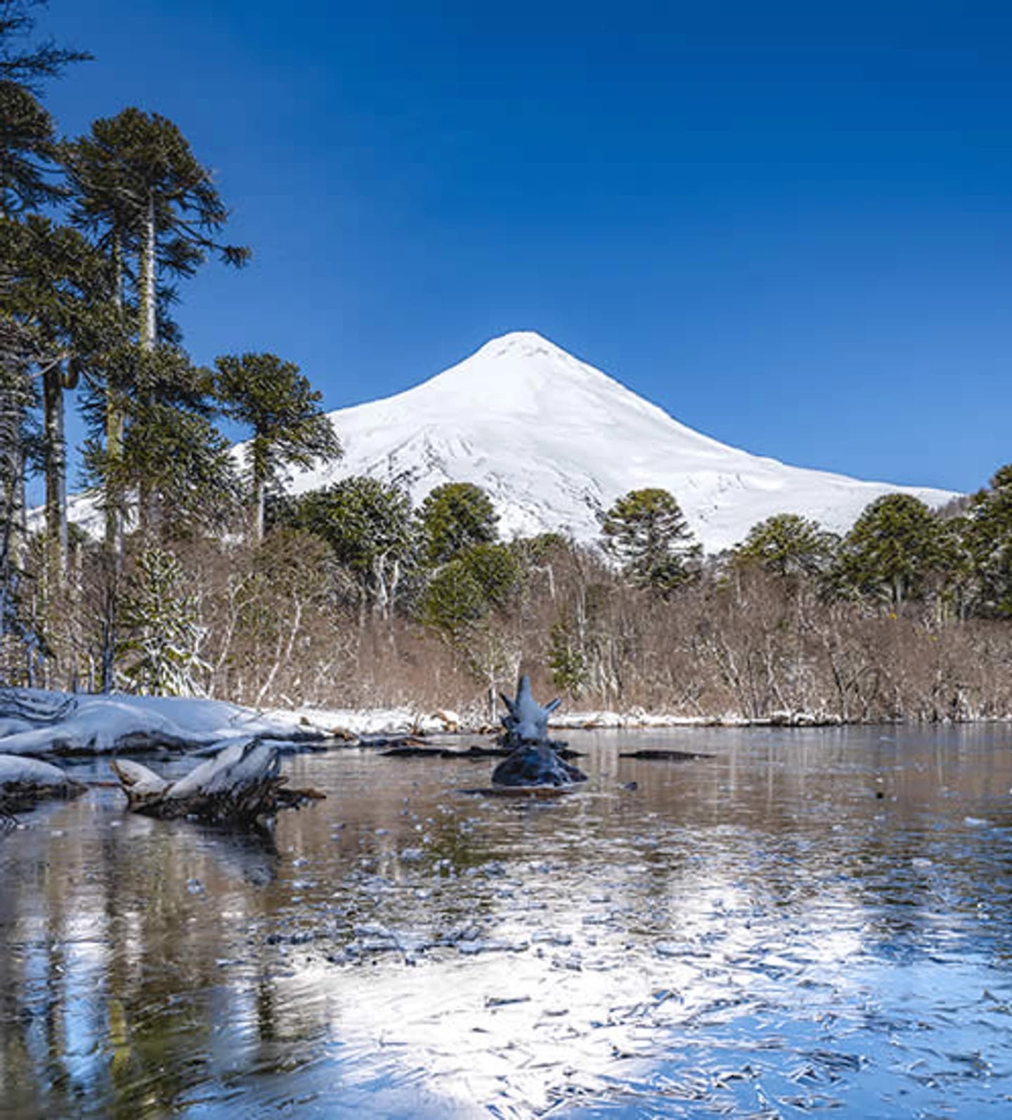Parque Nacional Villarrica (Los Ríos)