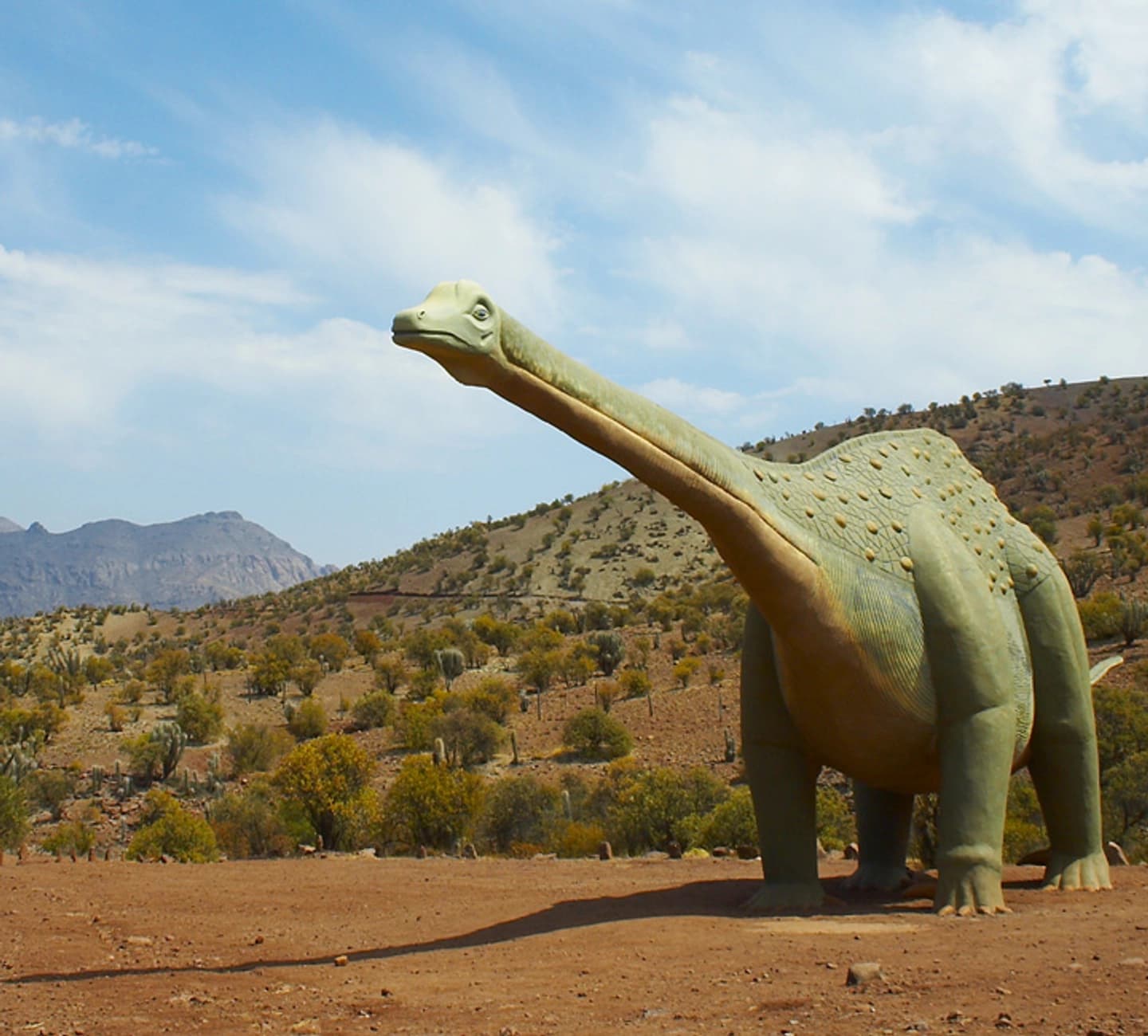 Monumento Natural Pichasca