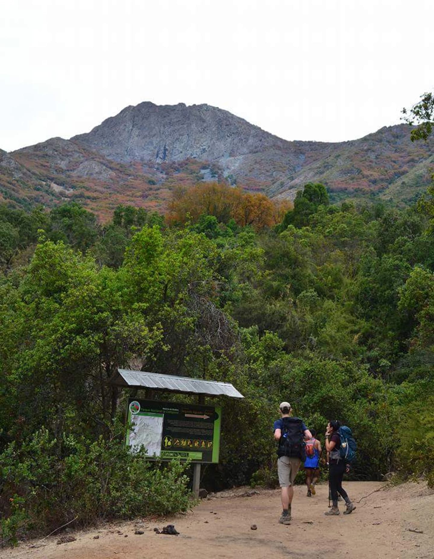 Parque Nacional La Campana - Sector Granizo