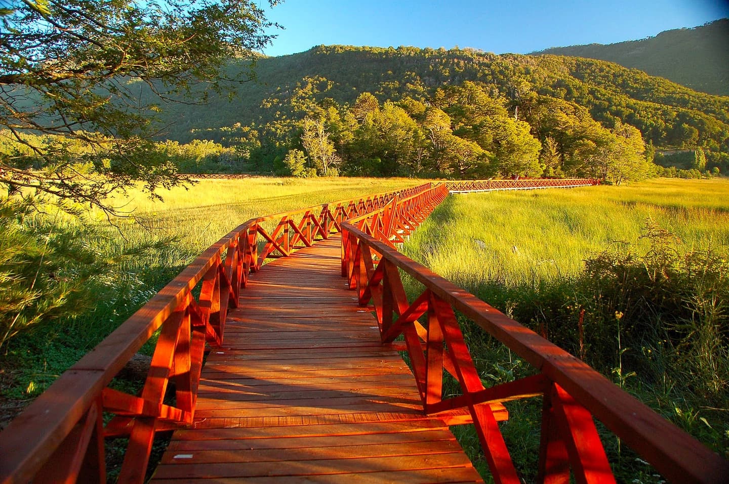 Parque Nacional Tolhuaca