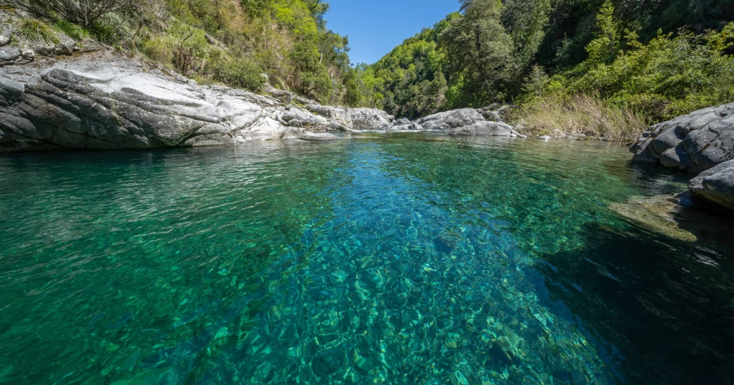 Reserva Nacional Huemules de Niblinto