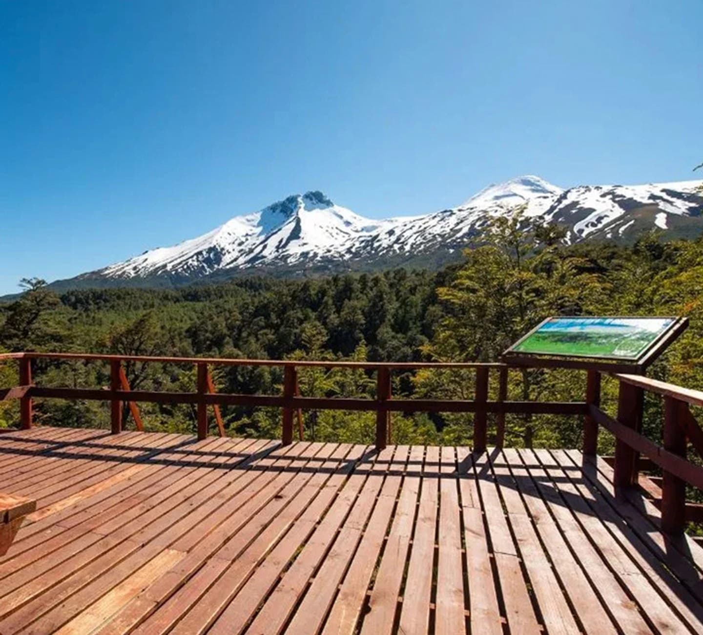 Reserva Nacional Mocho-Choshuenco