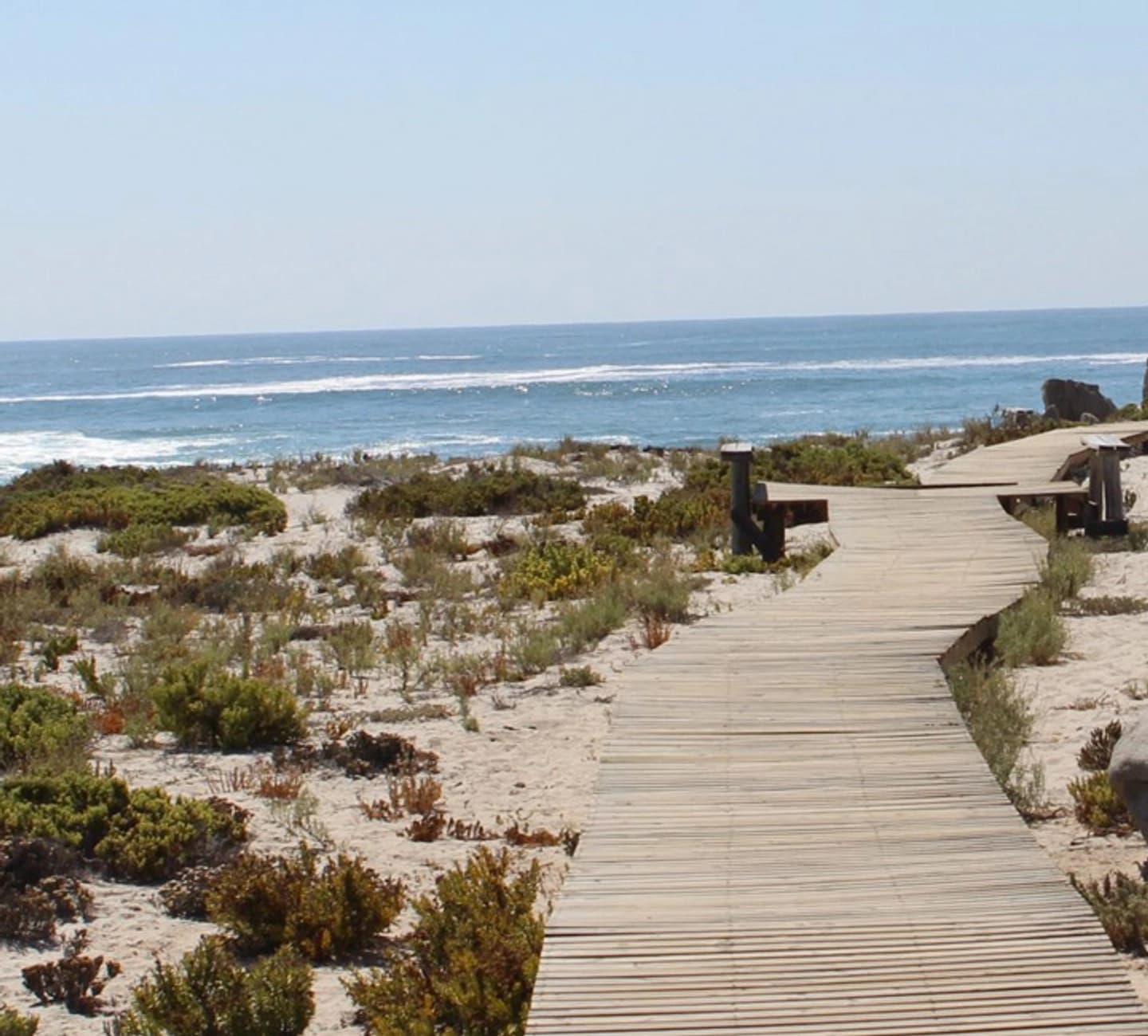 Parque Nacional Llanos de Challe