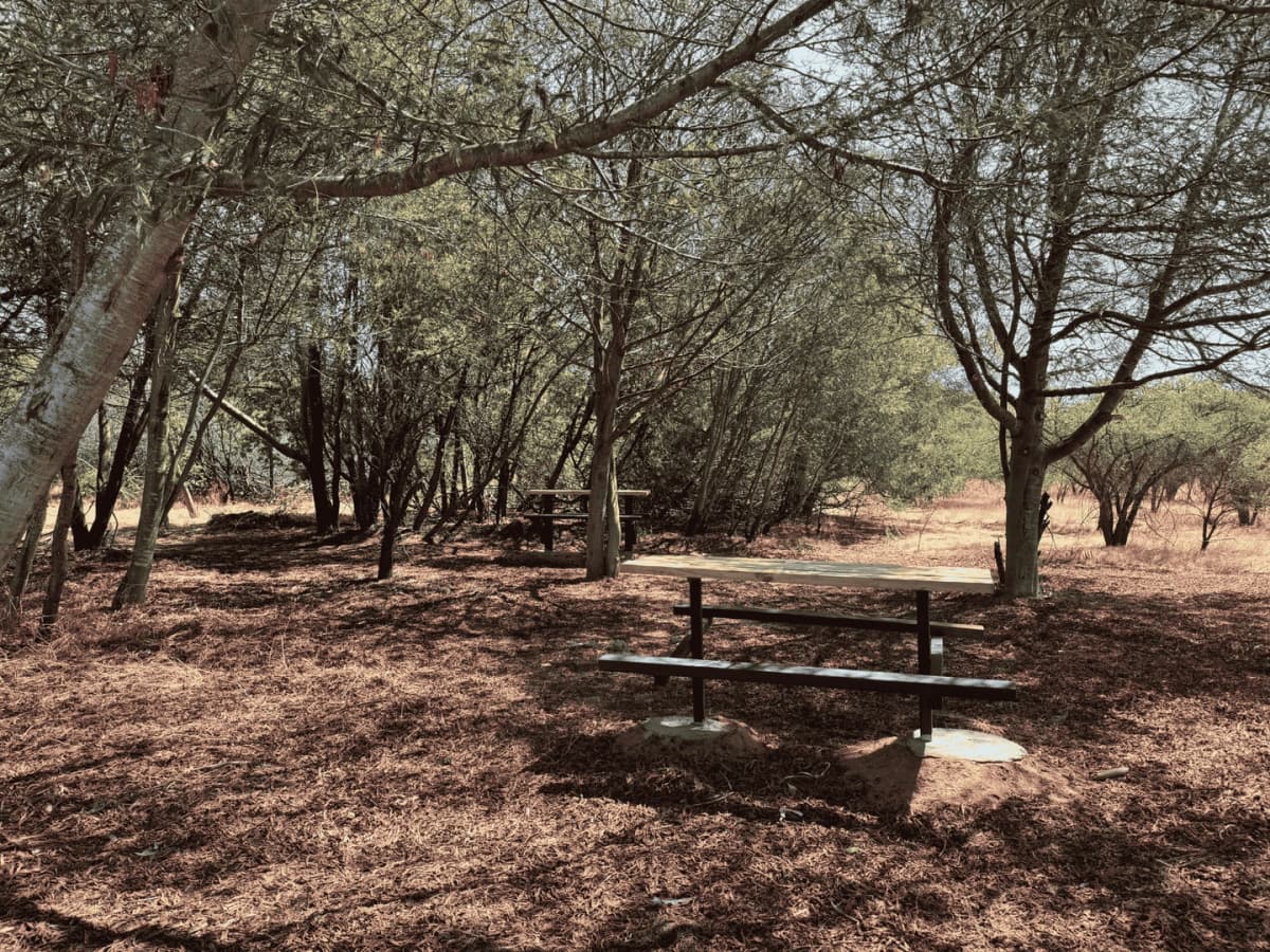 Entrada Reserva Nacional Lago Peñuelas - Sendero Los Coipos 