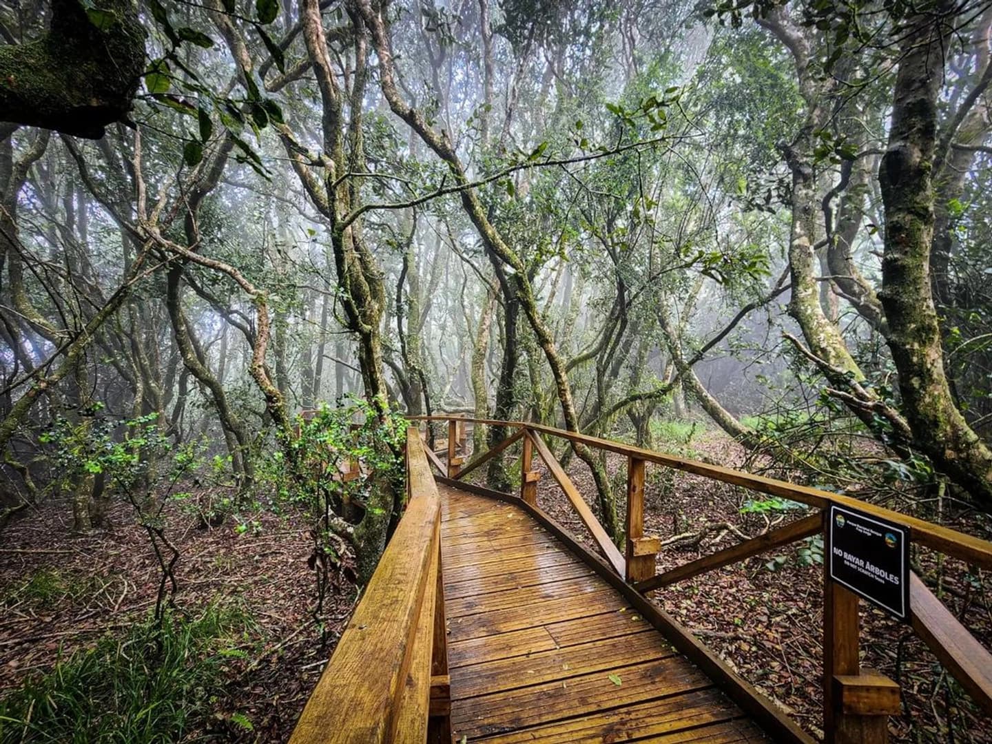 Parque Nacional Bosque Fray Jorge