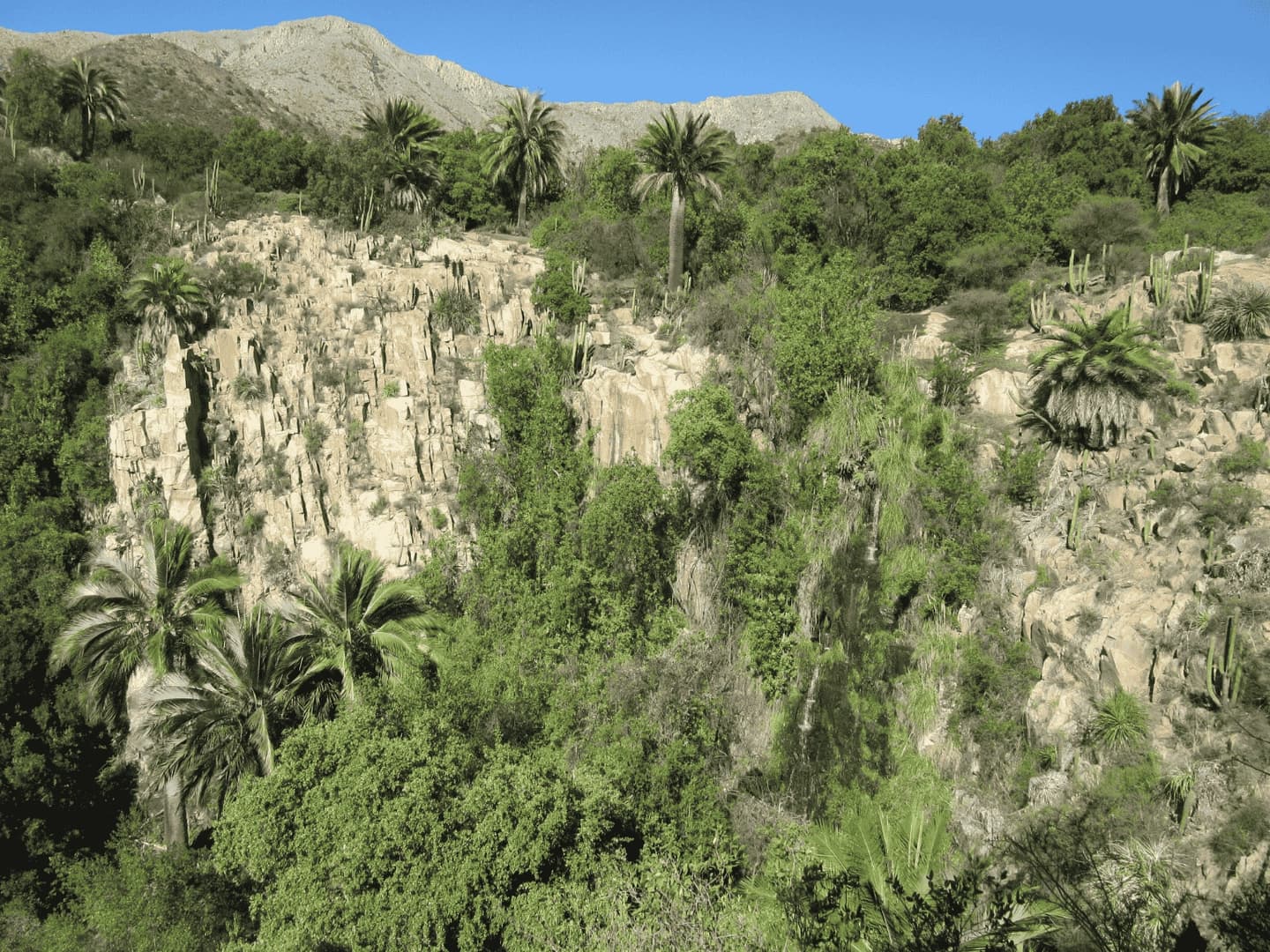 Parque Nacional La Campana